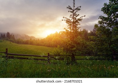Wooden fence along the road in Carpathians mountains. Coniferous forest and green pasture. Ukraine, Capathians. - Shutterstock ID 2168701021