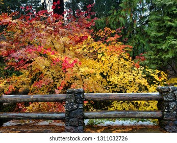 A wooden fence alongside bushes flush with fall colors.