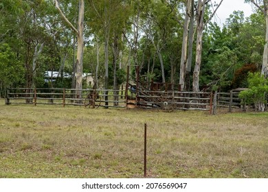 Wooden fence around cattle yards with wagon wheels as decoration, country farm homestead