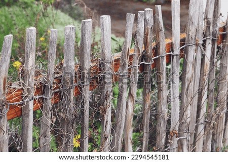 wooden fence, garden fence, twig fence, homemade fence, garden decoration, spring garden view