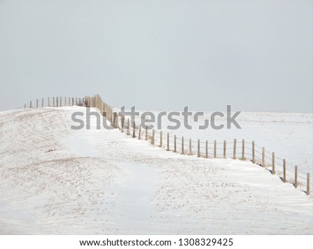 Similar – Image, Stock Photo My garden fence. Landscape