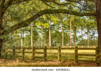 Wooden fence, meadows and tall oak and pine trees in Tallahassee, Florida