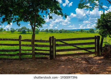 Wooden Fence And Old Farm Gate In The Nature Background