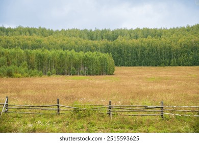 wooden fence on meadow. mountainous rural landscape. deciduous birch forest. autumn field, pasture fence. - Powered by Shutterstock