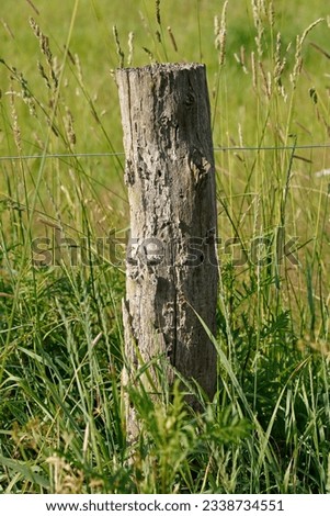 Wooden fence post, wooden fence, willow fence, barbed wire, Germany