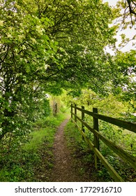 A Wooden Fence Runs Along A Footpath In The English Countryside In The Spring Time. Trees With Fresh Green Leaves And Foliage Overhang The Path Which Leads Into The Distance.