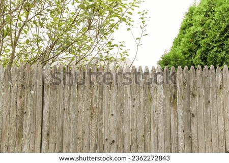 wooden fence, standing tall it's weathered texture and sturdy construction symbolize both security and privacy. The fence's natural surroundings evoke a sense of tranquility and seclusion