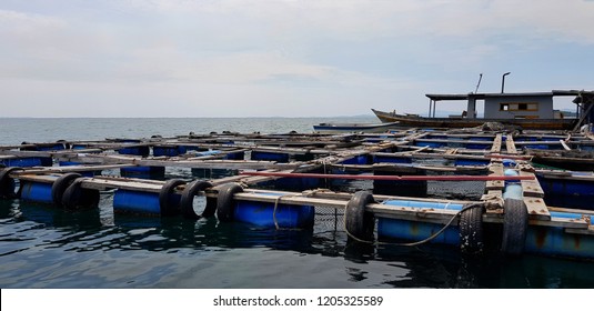 Wooden Fish Pens Over An Offshore Fish Farm In Tropical Waters.