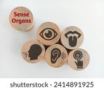 Wooden with five Sense organs icons namely sight, hearing, smell, teste and touch. basic 5 human senses