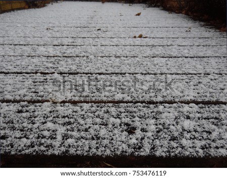 Similar – Image, Stock Photo Traceless Snow Leaf Tree