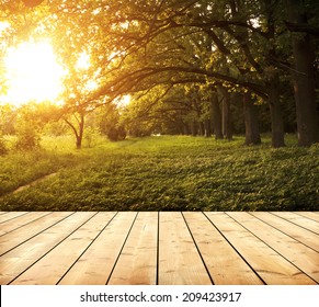 Wooden floor with planks at avenue of oak trees in morning with golden sun  - Powered by Shutterstock