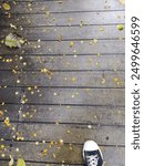 
Wooden floors Adventure
Dimensions 1736*1306
Color Representation: sRGB