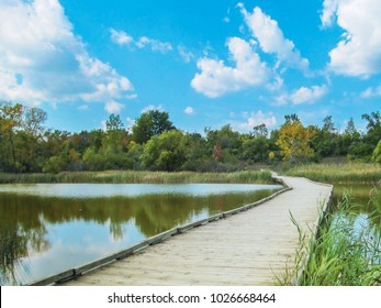 Wooden foot bridge in landscape park. Early autumn in Lillie Park, Ann Arbor, Michigan, USA.