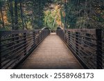 A wooden foot bridge in the woods over a creek in Big sur, California, United States of America