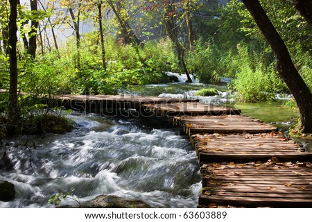 Wooden footbridge across stream in the mountain forest, Croatia.