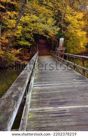 Wooden footbridge leads to the Slagle Hollow Knob Trail in Steele Creek Park, Bristol, Tennessee.  Autumn leaves form tunnel and cover ground at start of trail.