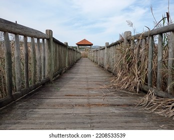 Wooden Footbridge In Natural Space