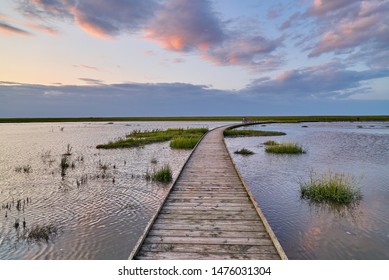 wooden footbridge of the nature experience path Langwarder Groden at the North Sea coast in Lower Saxony (Germany) during the high water under a beautiful evening sky in summer