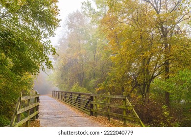 A Wooden Footbridge On A Walking Trail Through A Foggy Forest In Autumn.