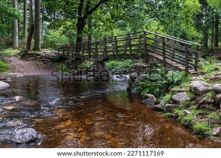 Wooden footbridge over the river Esk near Dalegarth station and  Dalegarth waterfalls, in the Lake District National Park, England.