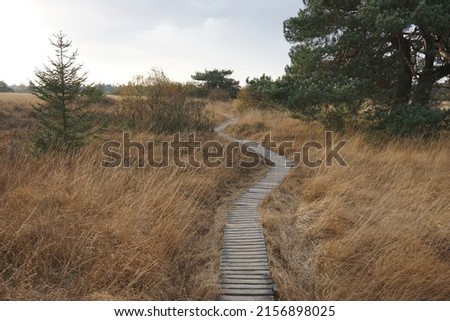The wooden footpath along the dry fields in High Fens, Belgium