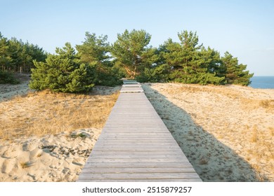 Wooden footpath on a sand dune. In the distance a pine forest and a fragment of the water surface are visible. Background. Landscape. - Powered by Shutterstock