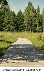wooden footpath in swamp with beautiful evening sun light in green foliage of summer bog. boardwalk in perspective view - vertical, mobile device ready image - Shutterstock ID 1135567034