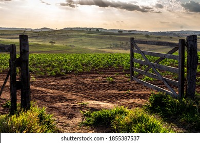 Wooden gate at the entrance to a cassava farm in the rural area in Brazil - Powered by Shutterstock