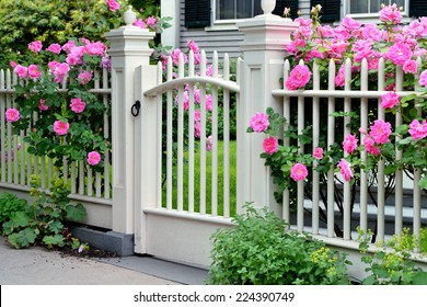 Wooden Gate with Pink Roses