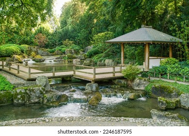 Wooden gazebo
 and a small waterfall in Japanese garden in the botanical garden in Augsburg. Vibrant landscape with water and the sound of water and various plants (Japanese maple), rocks and railings - Shutterstock ID 2246187595