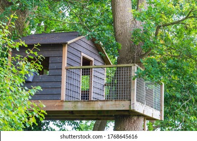 Wooden grey tree house with terrace between old oak trees