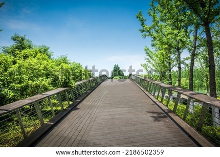 Wooden ground and beautiful city park with green trees in spring