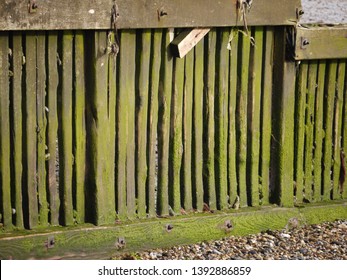 Wooden Groyne Groin Beach Reculver