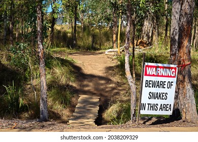 Wooden Hand Made Board Walk Leading Into Australian Bushland On A Sunny Winter Day. Beware Of Snakes Warning Sign Next To The Entry.