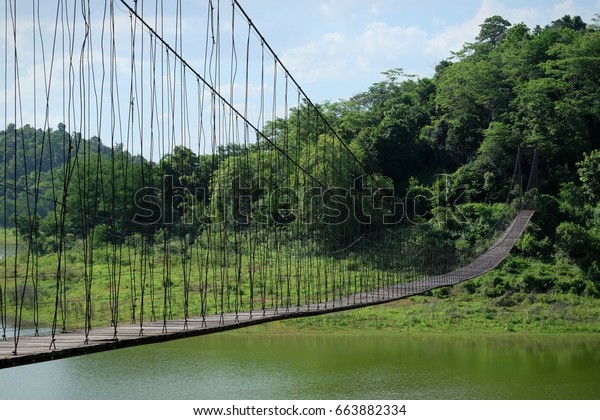 Wooden Hanging Bridge in\
nature