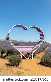Wooden Heart-shaped Bench In The Lavender Garden. No People