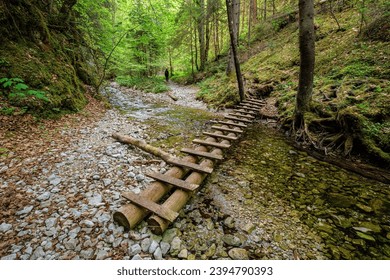 Wooden hiking trail. Wooden steps in Sucha Bela canyon in Slovak Paradise National Park, north part of Slovak Ore Mountains in Slovakia - Powered by Shutterstock