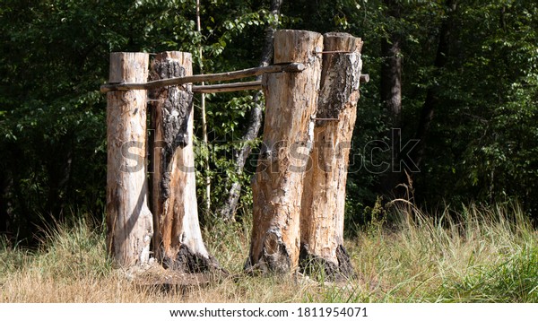Wooden homemade sports equipment.  Sports\
uneven parallel bars are made of  logs, and are attached to tree\
trunks.  Sports field in the middle of the forest.\
