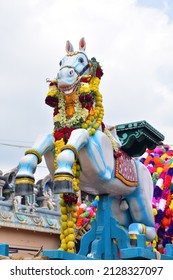 The wooden horse chariot erected in front of the Kulamangalam Ayyanar Temple for the procession ahead of the Masi magam festival. Pudukkottai district, Tamil Nadu in South India. 18.02.2022.