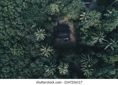 Wooden House In Coconut Palm Tree Tropical Rain Forest Aerial View