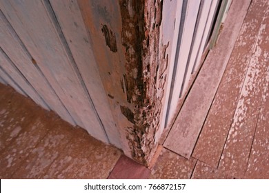 wooden house damage from termite