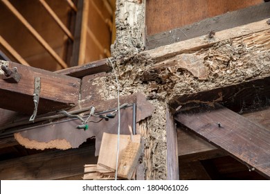 Wooden house damaged by termites