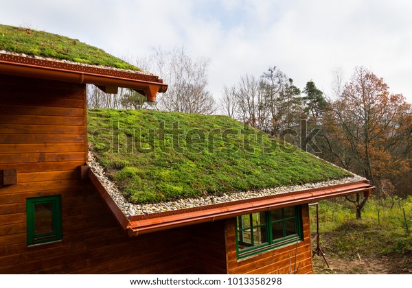 Wooden house with extensive green ecological\
living sod roof covered with vegetation mostly sedum sexangulare,\
also known as tasteless\
stonecrop