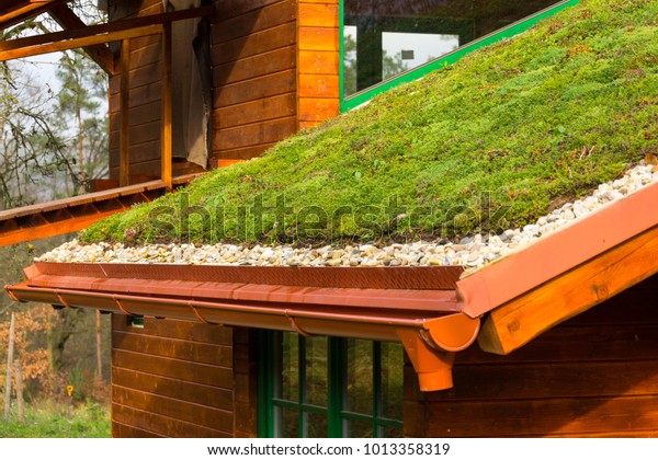 Wooden house with extensive green ecological\
living sod roof covered with vegetation mostly sedum sexangulare,\
also known as tasteless\
stonecrop