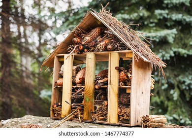 Wooden House For Insects With Blurred Forest Background. 