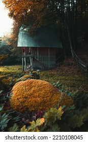 Wooden House With Metal Roof Under The Branches Of A Tree.