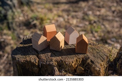 Wooden House Models On Tree Stump In The Outdoors. Concept Image For Wood As A Renewable And Sustainable Building Material For Modular Timber Architecture. 