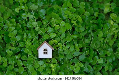 Wooden House On Green Grass Natural Background. Mortgage, Real Estate Concept. Eco Friendly House, Eco Home. Home Sweet Home. Flat Lay. Copy Space