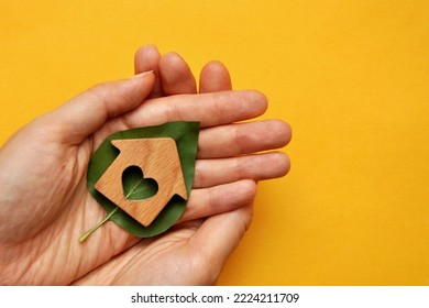 A Wooden House On A Leaf Of A Plant In The Hands Of A Man. A Symbol Of Environmentally Friendly Housing