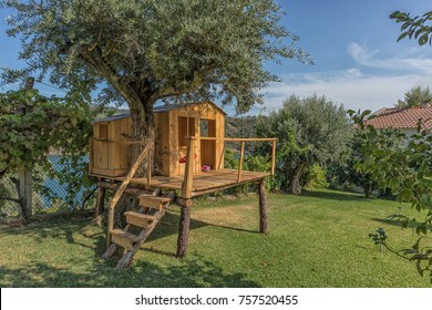 Wooden House In Tree. Tree House.